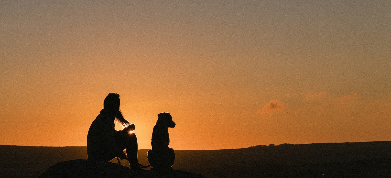 A dog and it's owner watching the sun set.