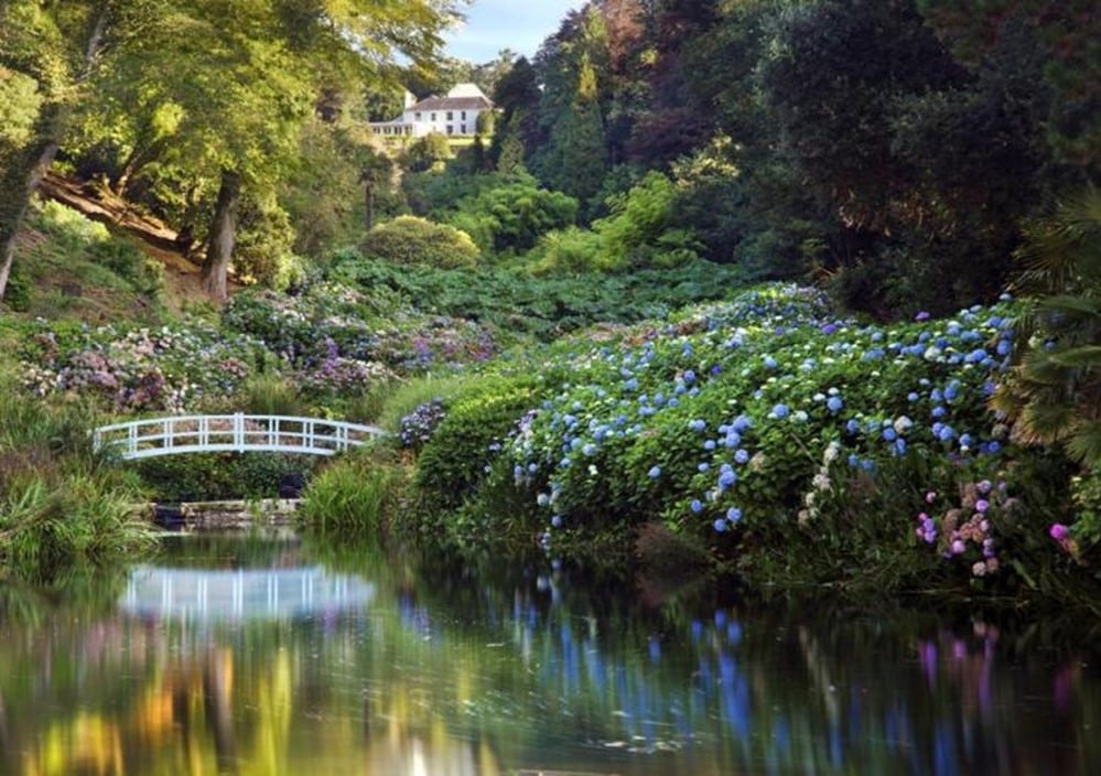 A bridge over a pond with flowers.