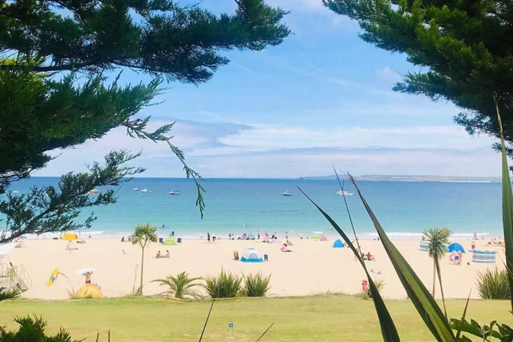 A beach with trees and people on it.