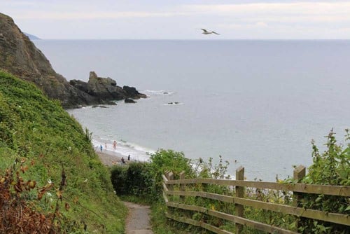 A path leading to a beach.