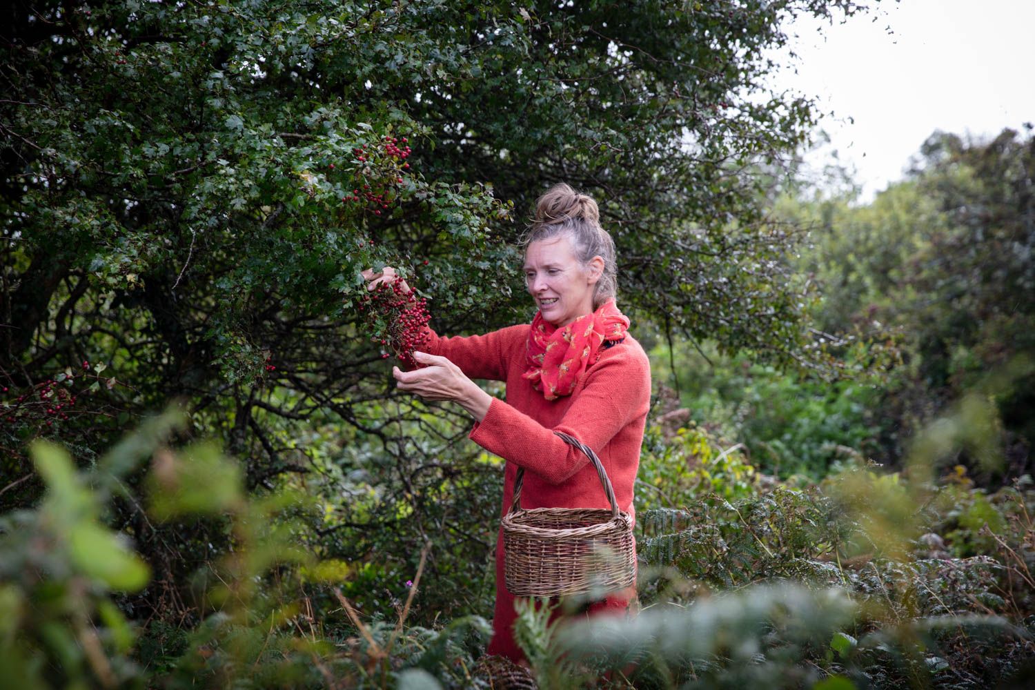 Foraging Elliot White