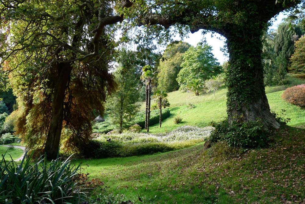 Glendurgan Garden in the autumn