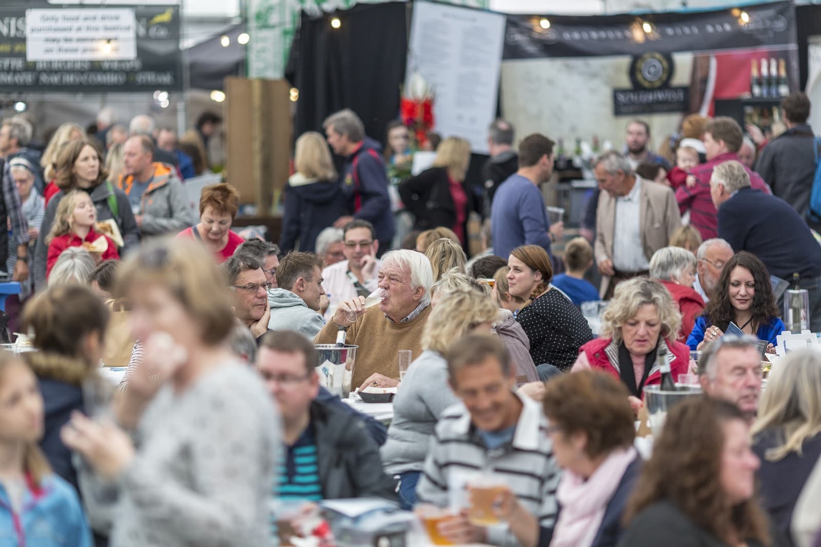 Falmouth Oyster festival