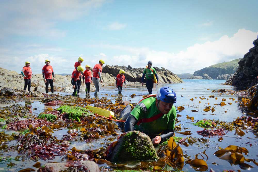 rockpooling