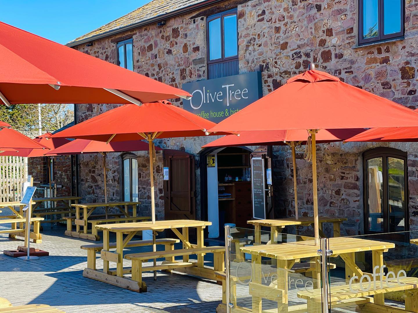 Olive Tree Bude
