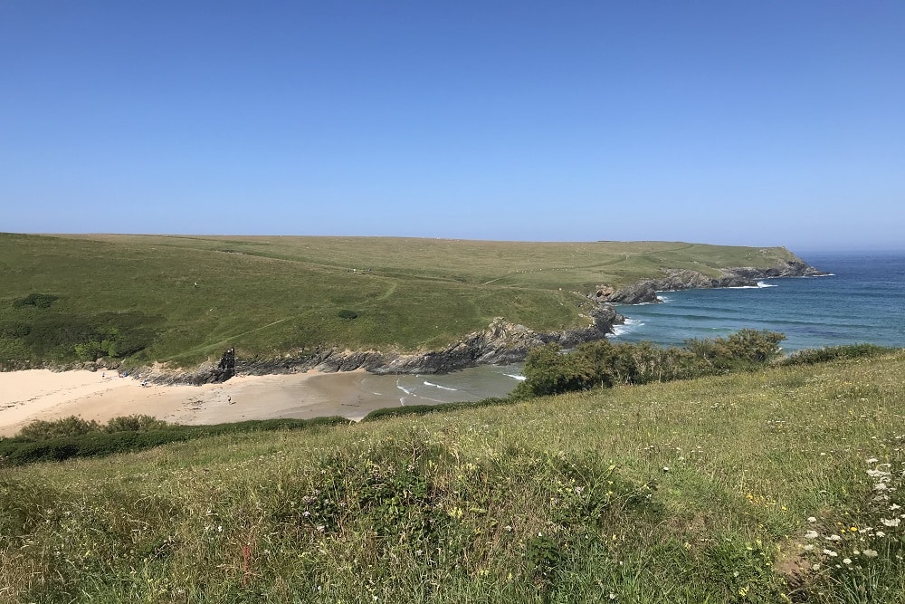 Polly Joke 4