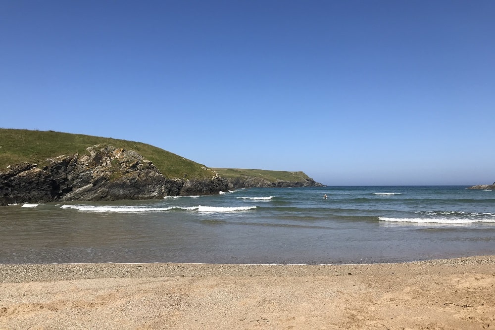 Polly Joke 5