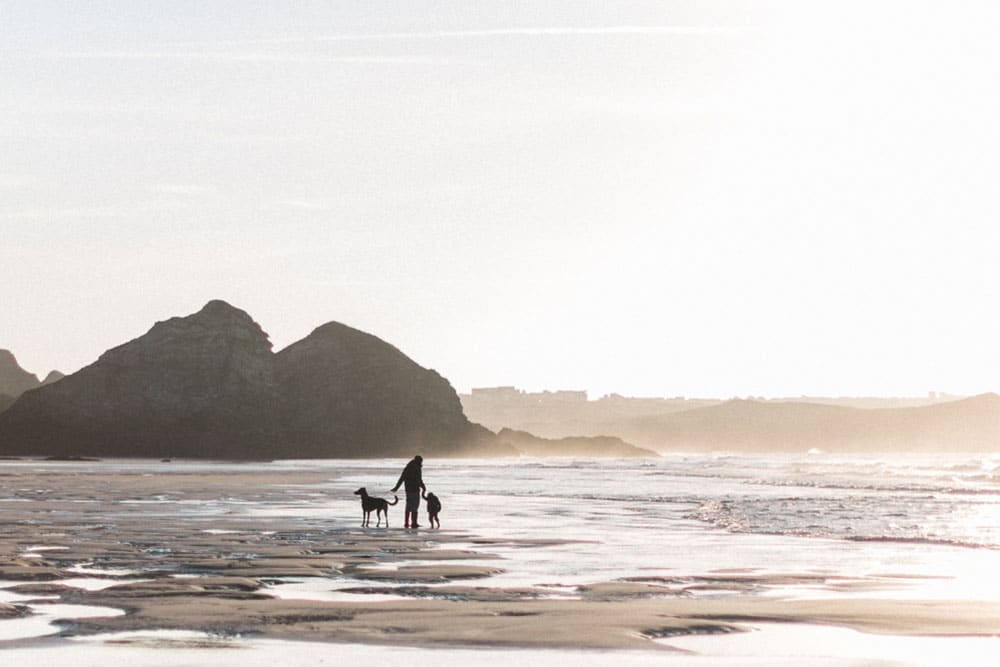 Watergatebay Dog Credit Ashley Lewis1