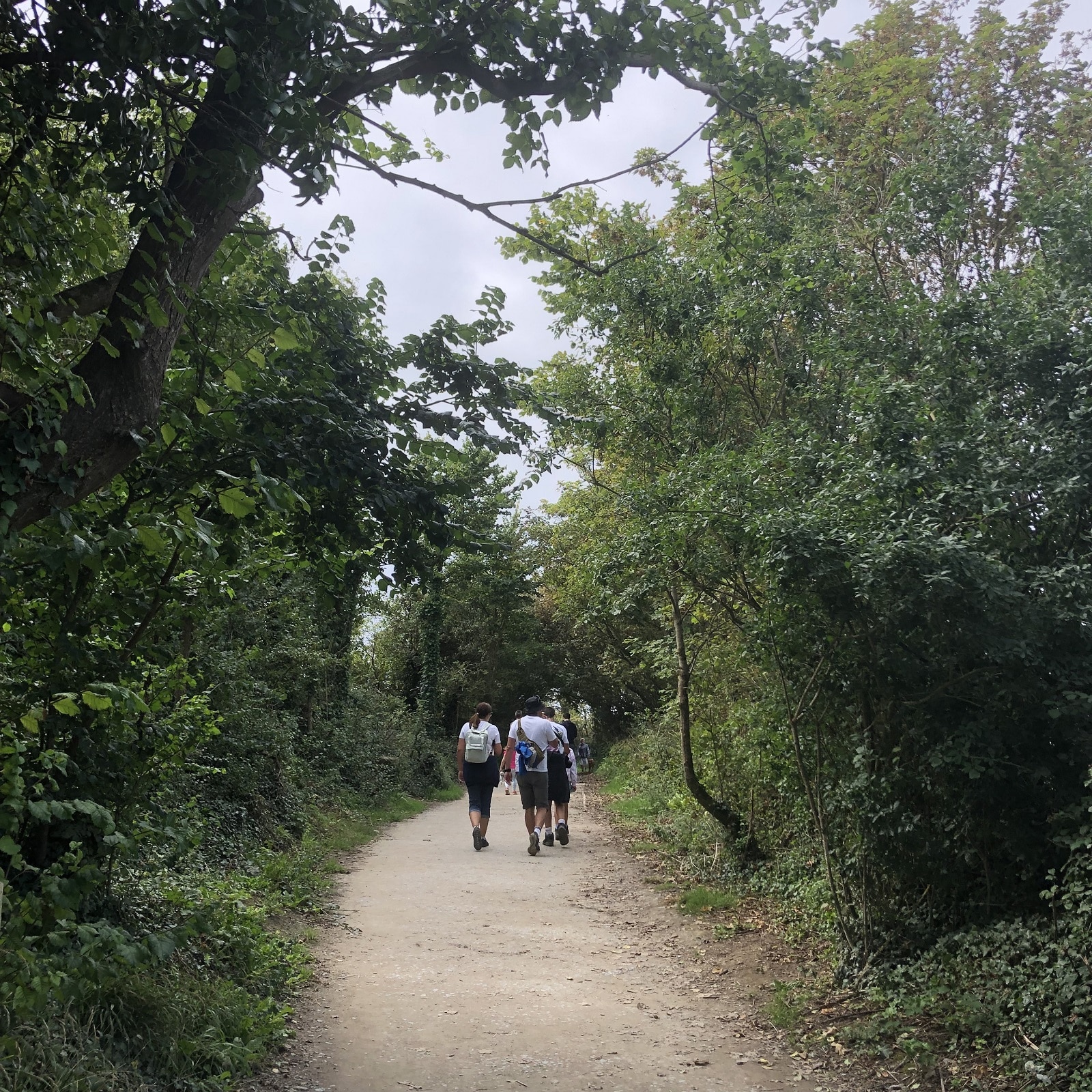 Walking In Croyde Copy