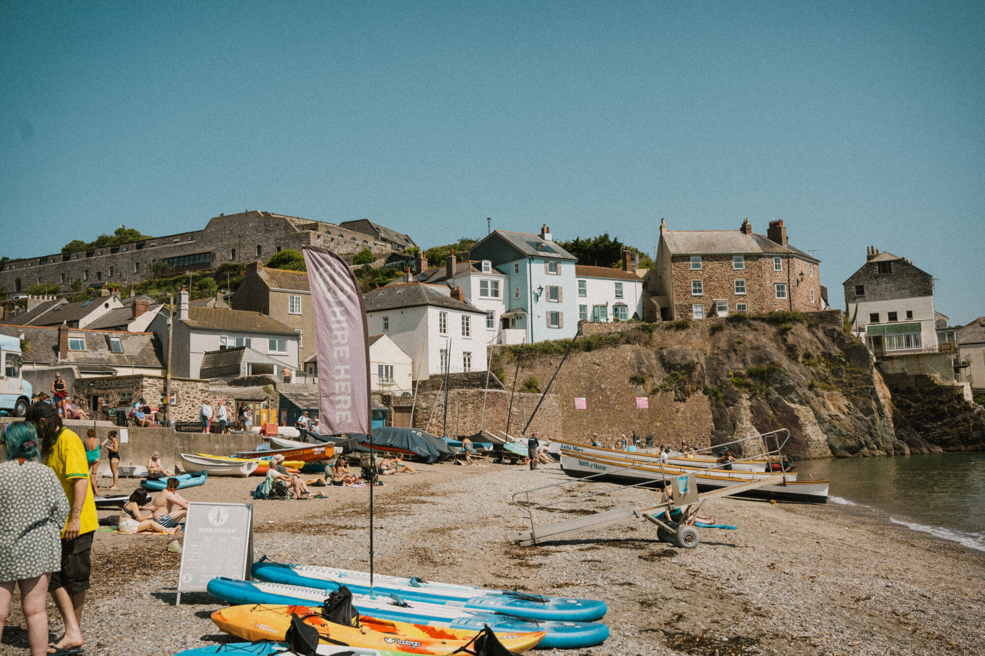 BR Rose Cawsand 04803 E1754405885571