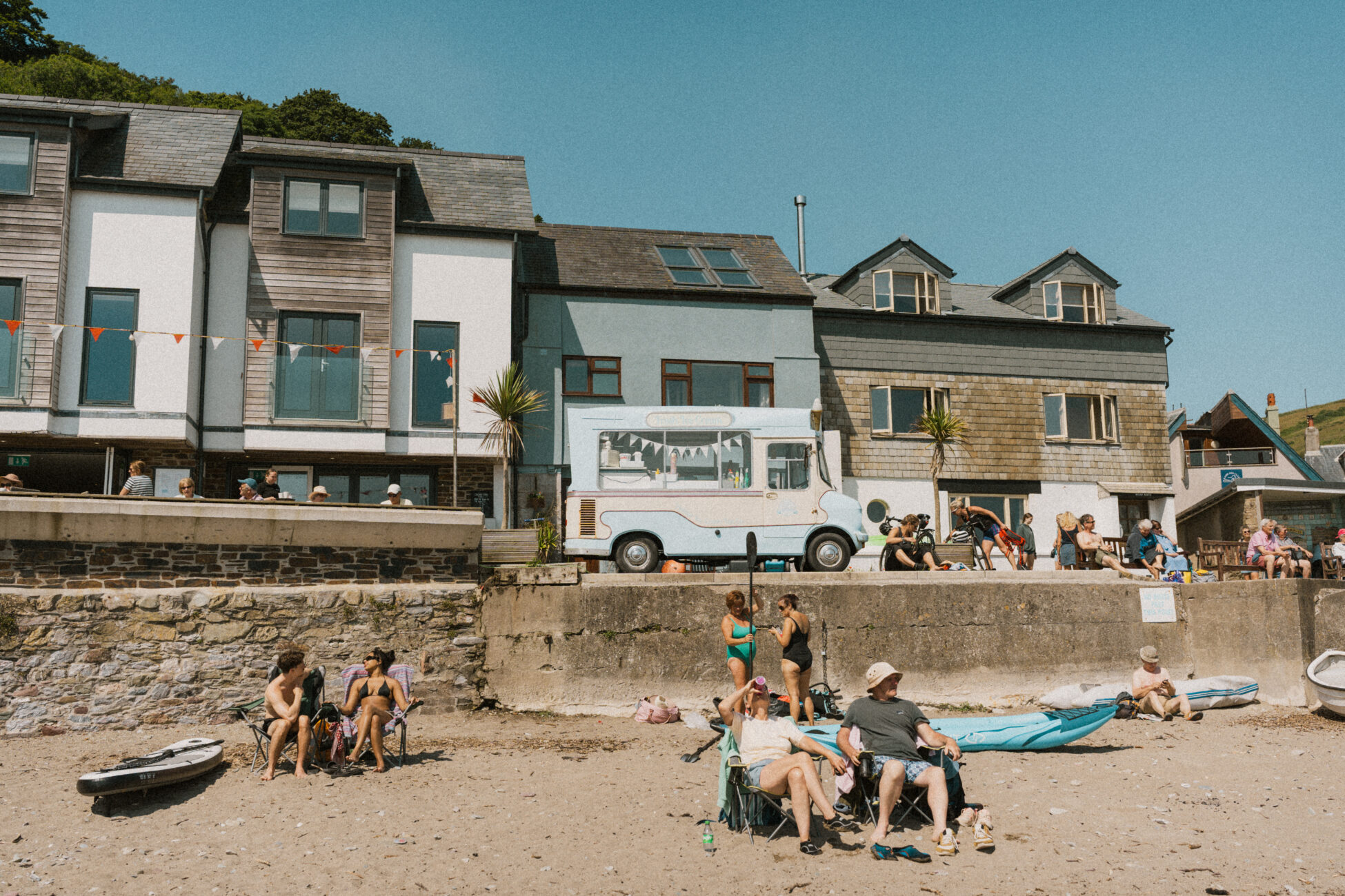 BR Rose Cawsand 04806 E1754406081784