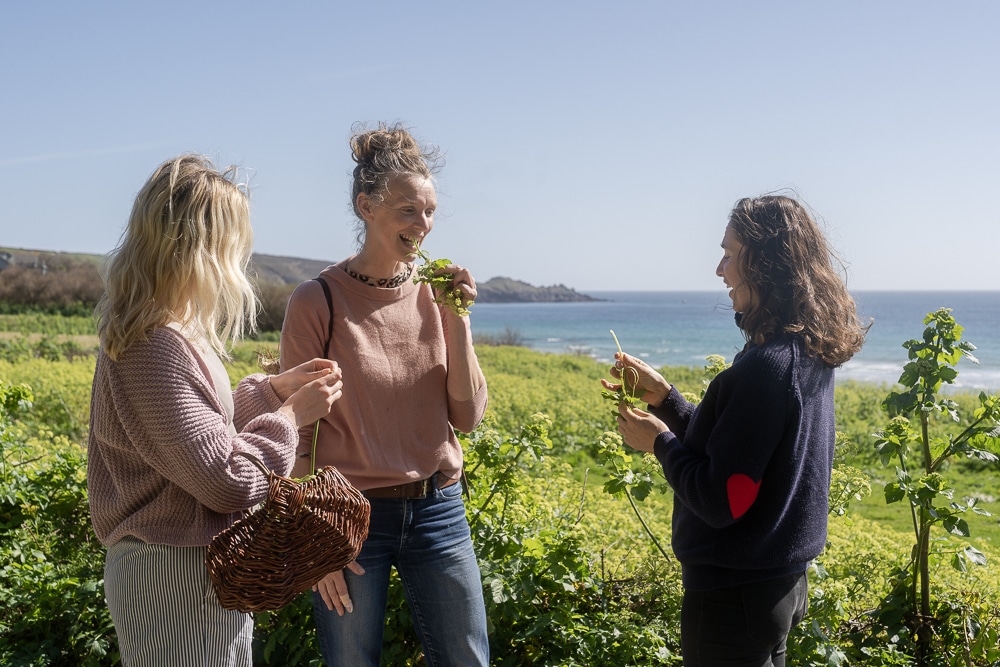 Foraging in Perranuthnoe