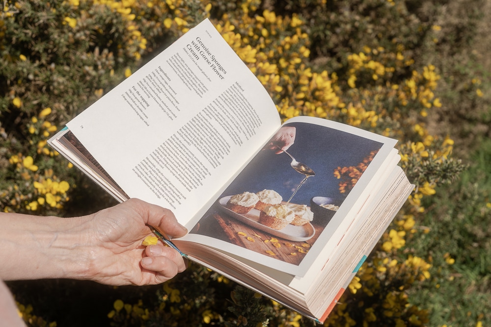 Foraging in Perranuthnoe