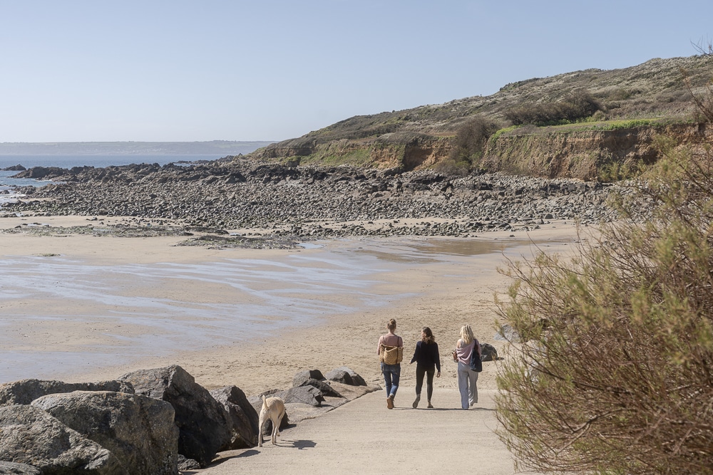 Foraging in Perranuthnoe