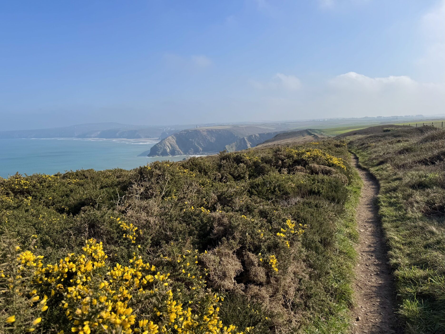 Portreath to Porthtowan coastpath