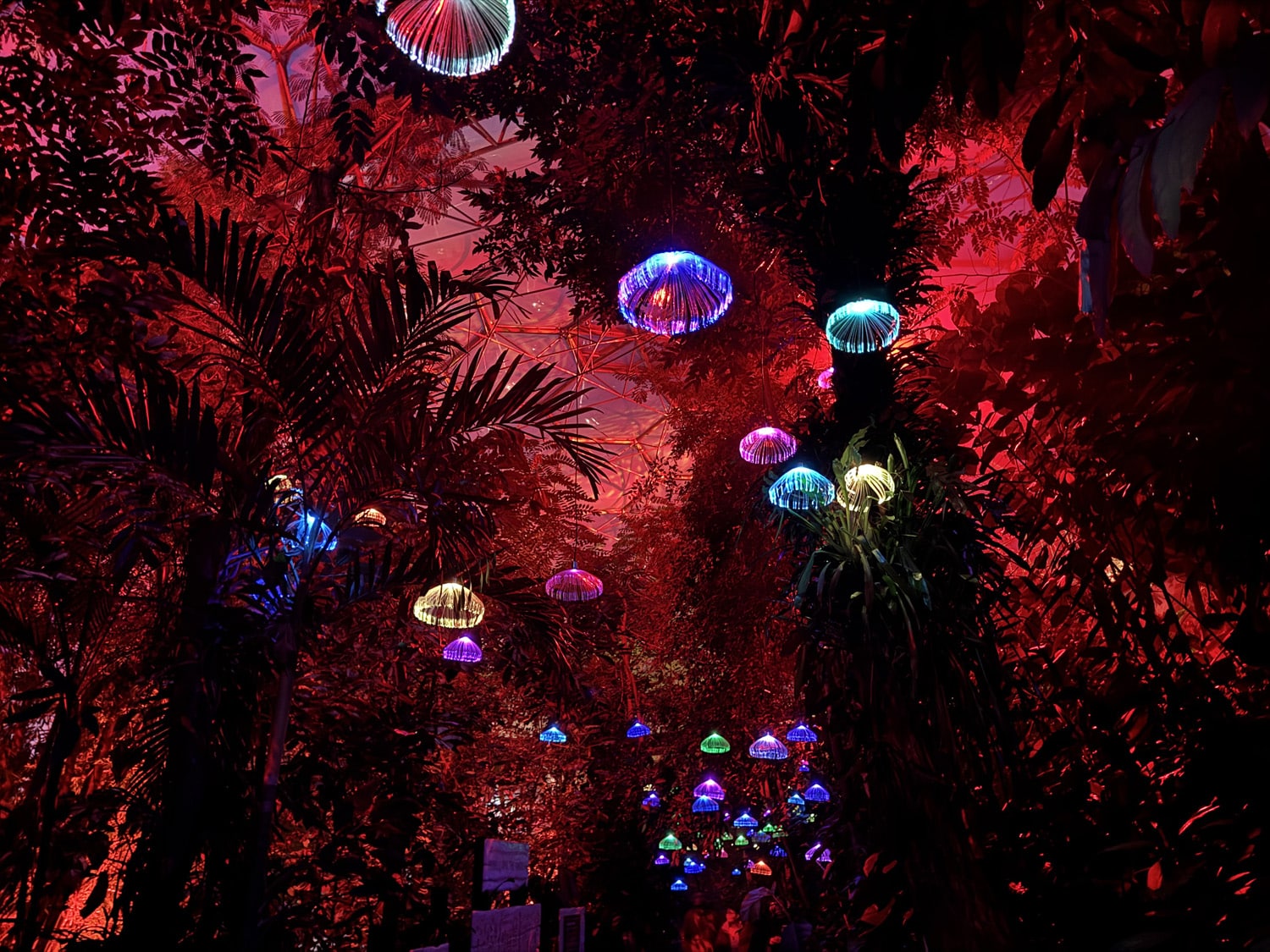 The Eden Project Christmas lights