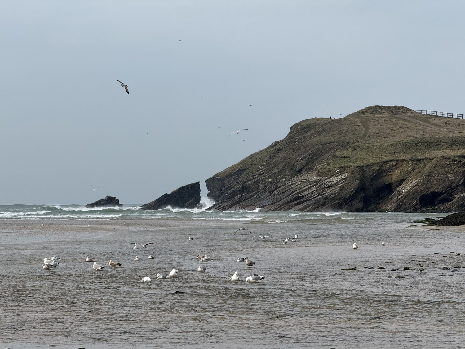 Porth Beach, Cornwall