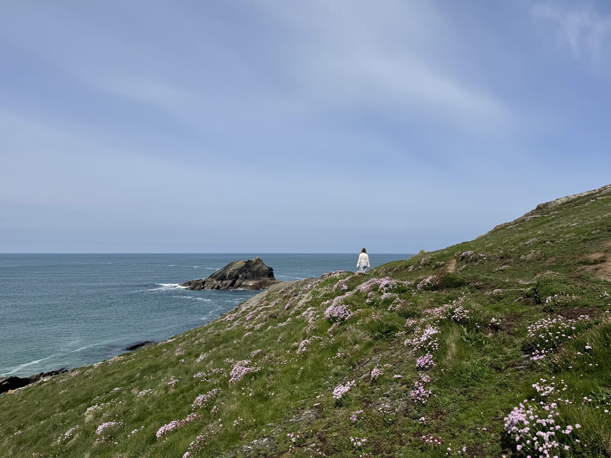 Pentire Headland