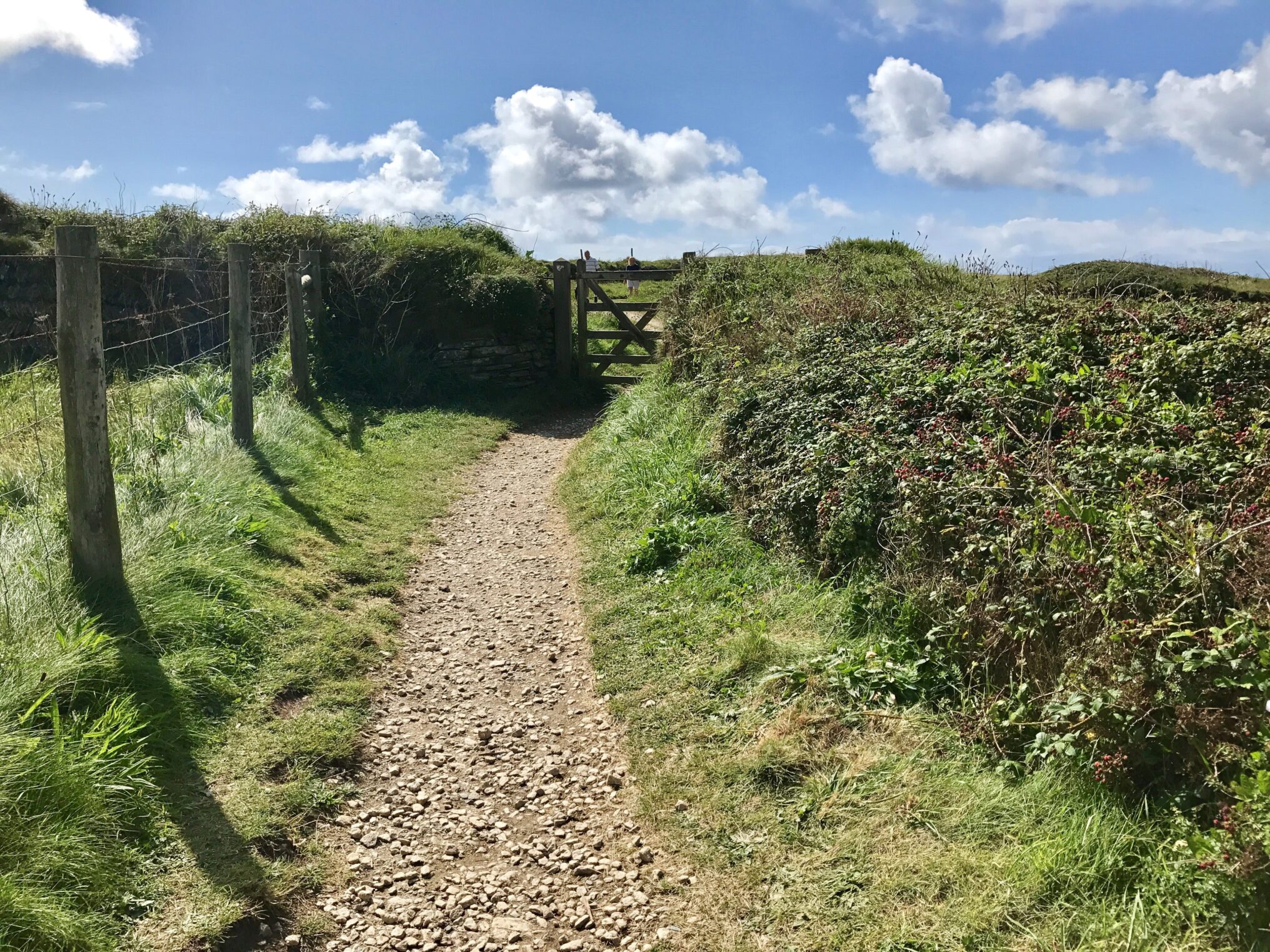 Coast Path And Gate E1776081330171