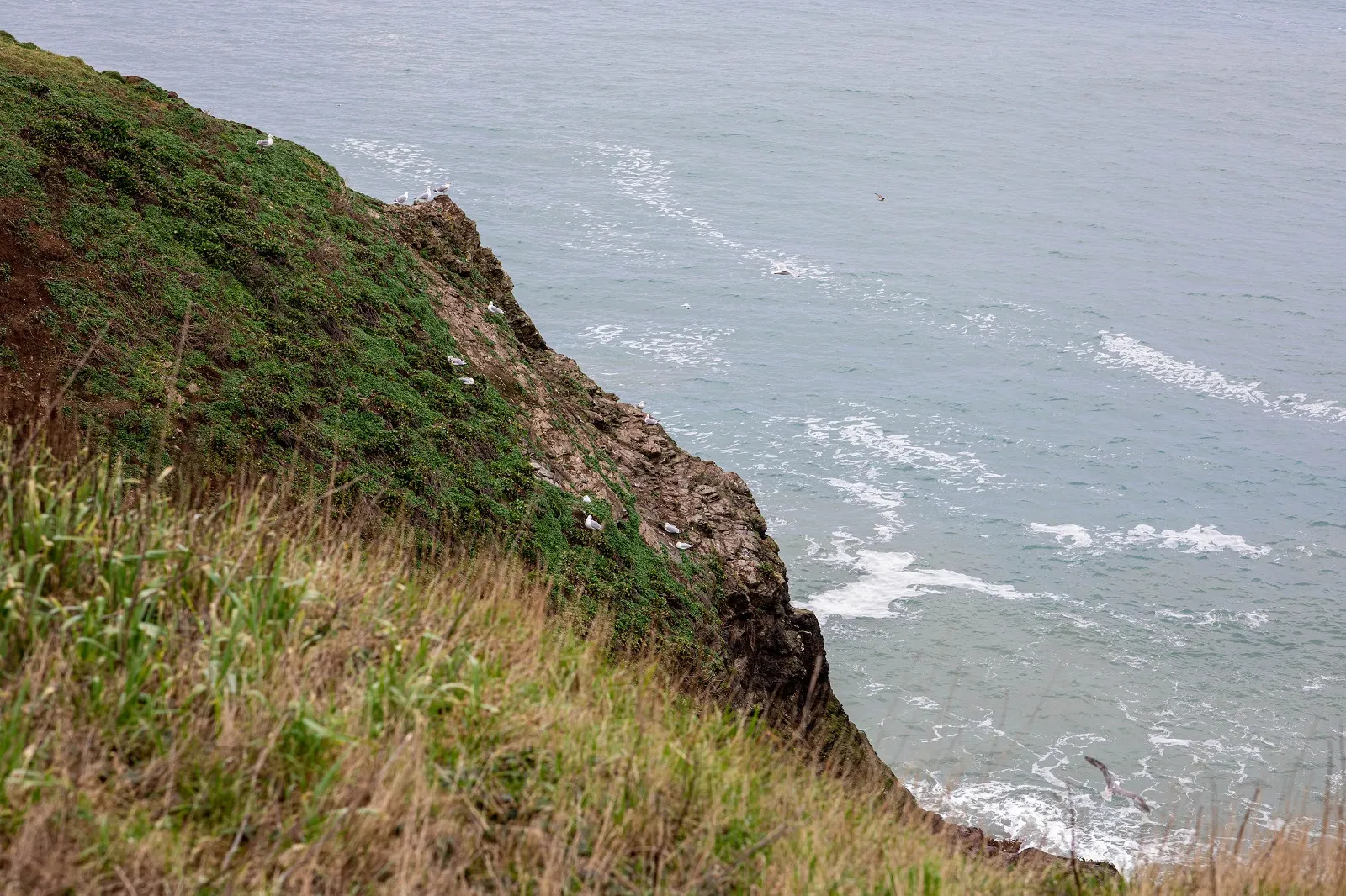 Beach Retreats | Celebrate by the sea