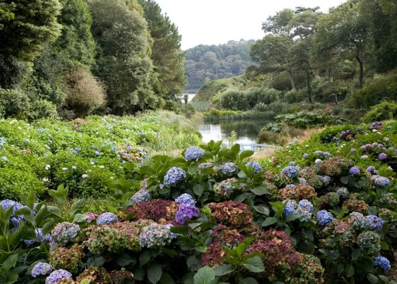 Trebah Gardens