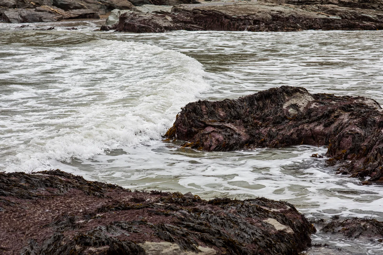 Beach Retreats | Weather windows