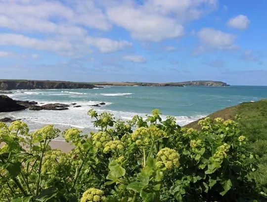 A view over Trevone Bay.