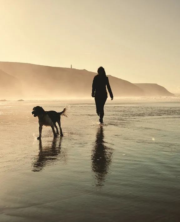 Dog and owner walking along the shore.