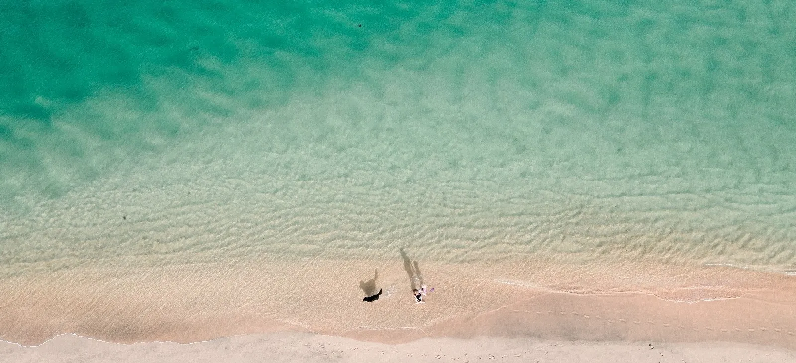 Dog and owner by the sea from above.