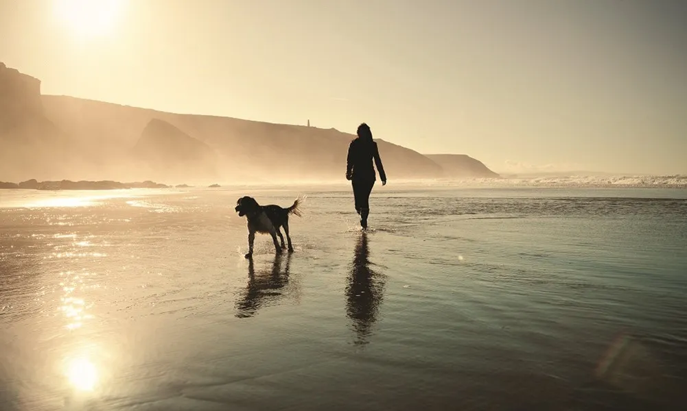 Dog and owner walking along the shore.