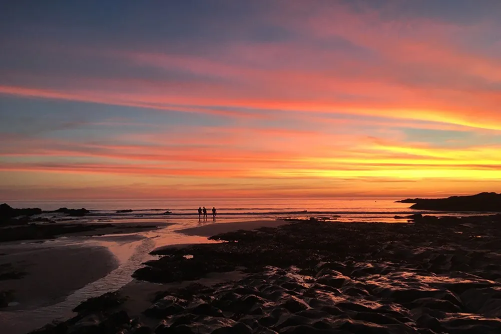 A group of people on a beach at sunset. 