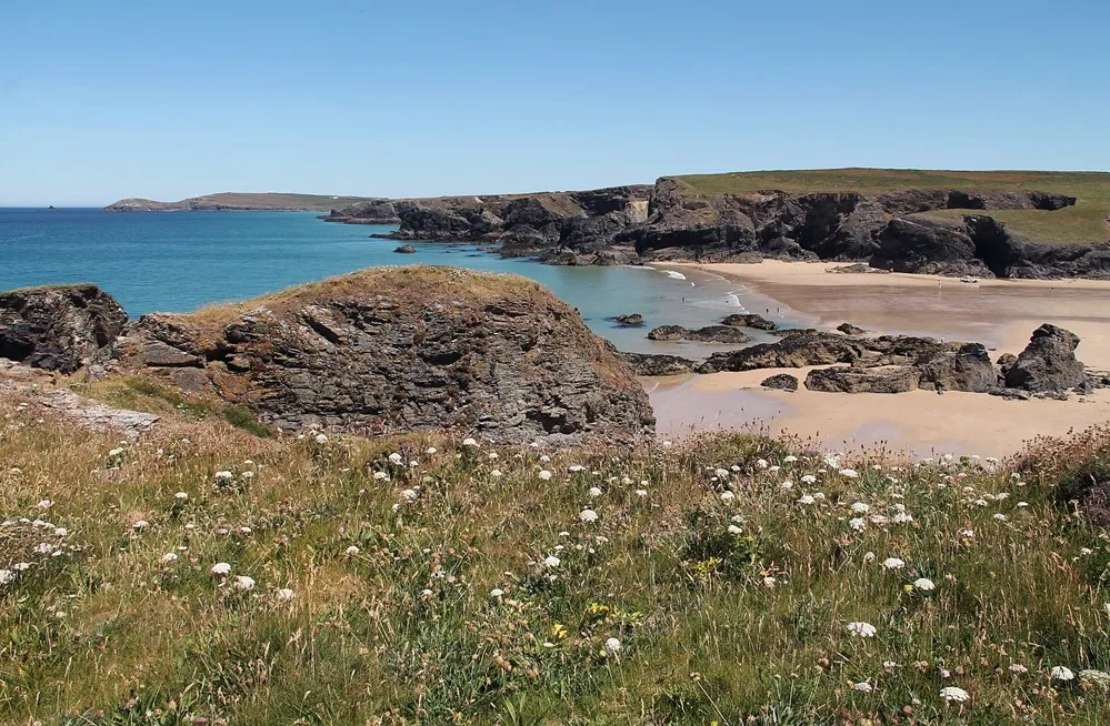 Grassy cliffs overlooking the beach.