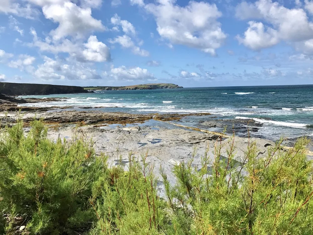 A rocky beach at low tide.