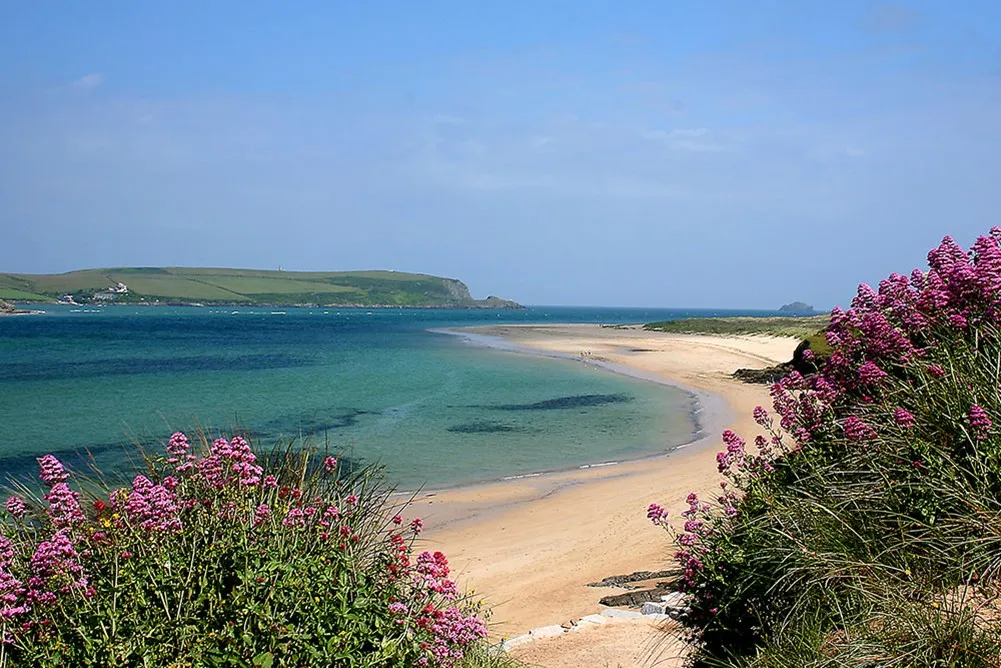 View across the estuary from a white sand beach.