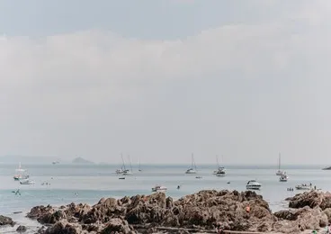 A group of boats in the water.