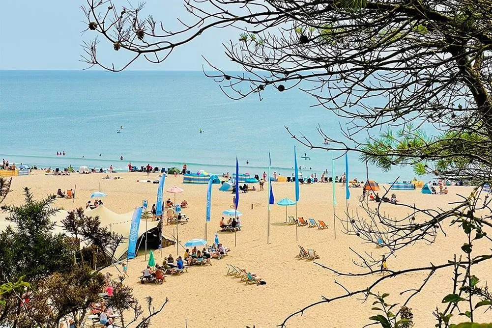 A beach with blue flags and people sitting.