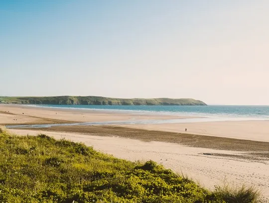 A beach with grass at low tide.