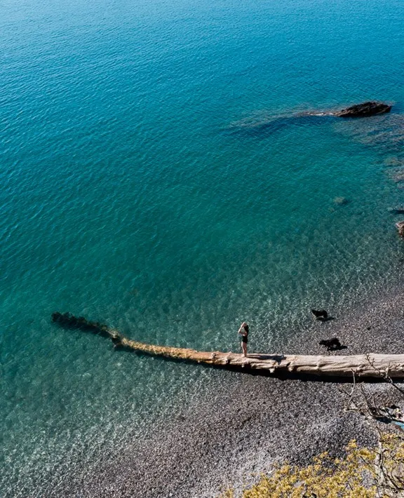 A woman standing on a log in the water.