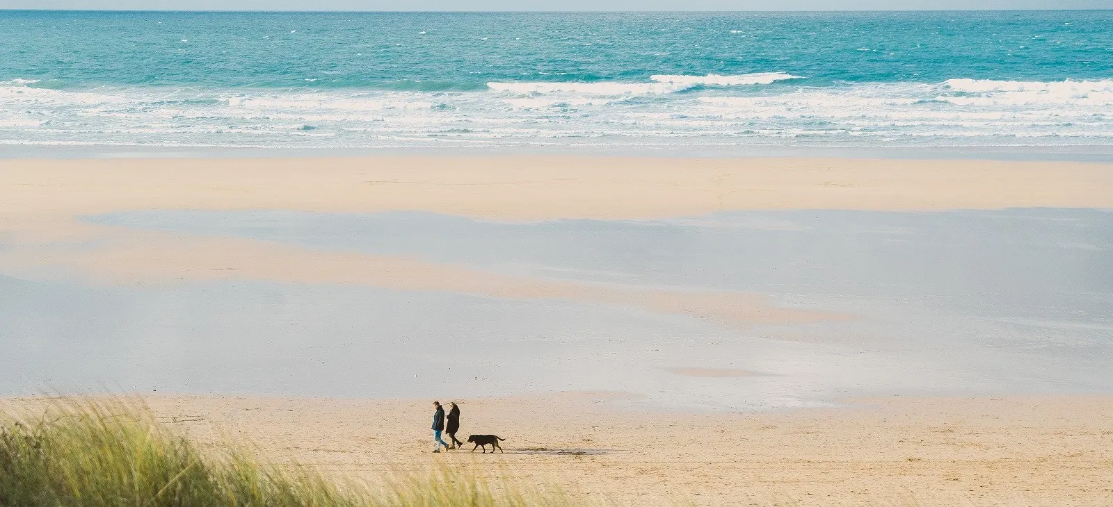 Couple and their dog walking across the beach.