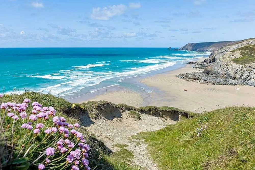 A beach with flowers and blue water.
