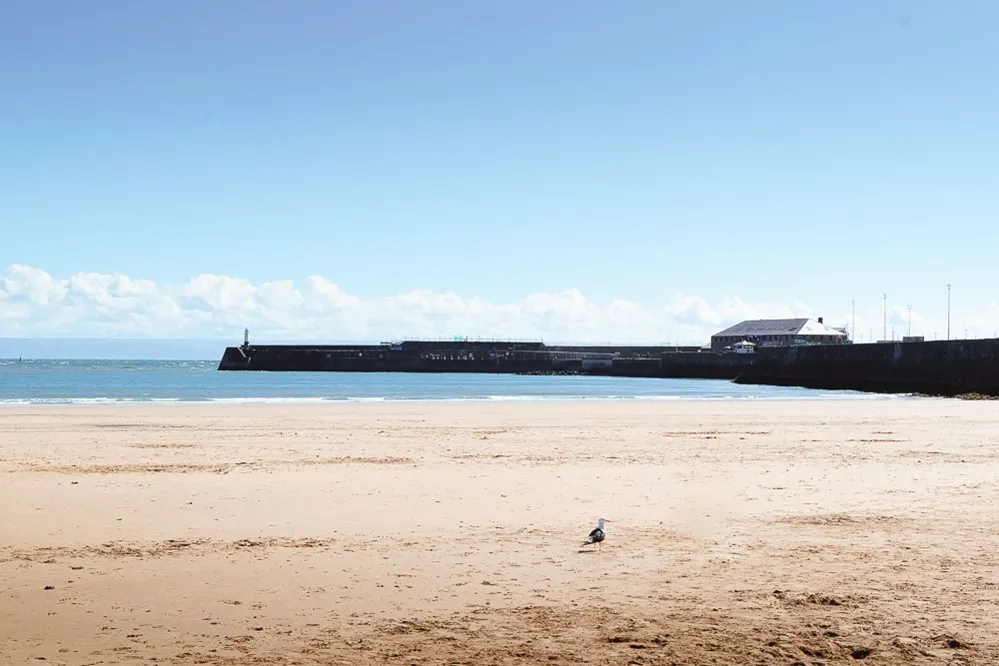 A beach with a pier stretching out to sea.