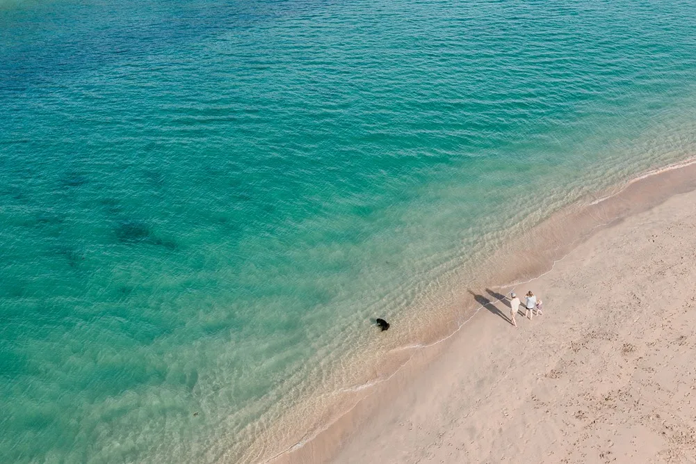 A group of people on a beach. 