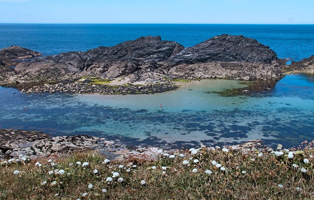 Rockpools at low tide.