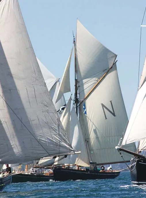 Several sailboats on the water.