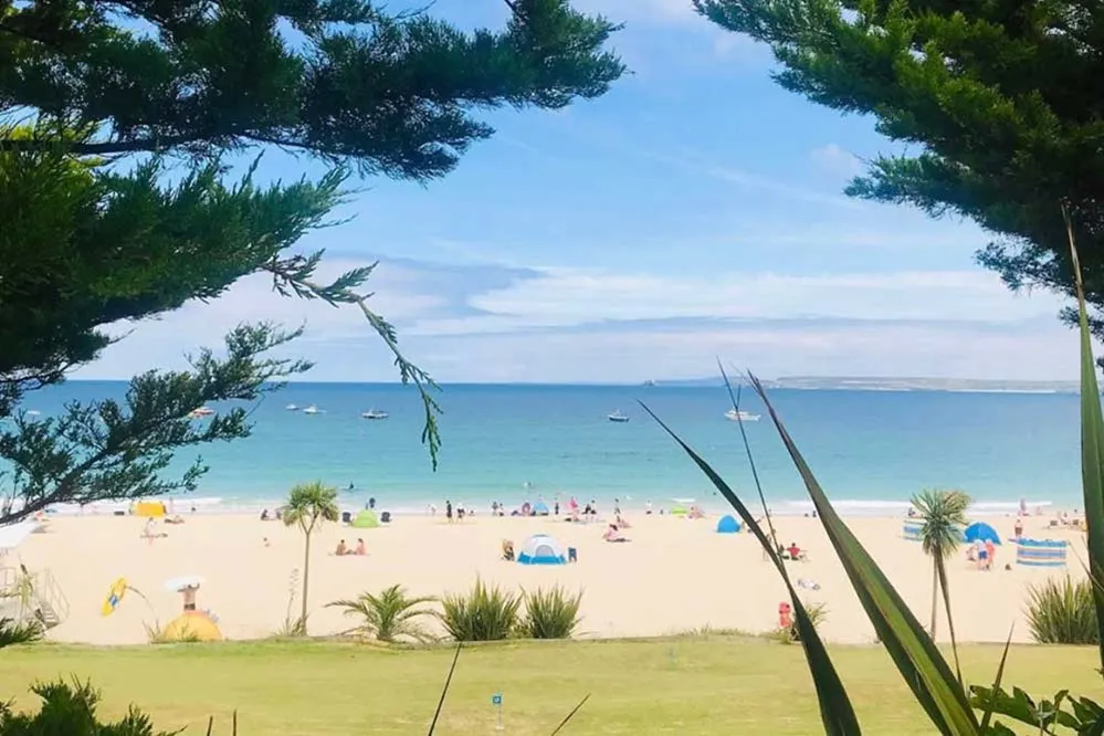 A beach with trees and people on it. 