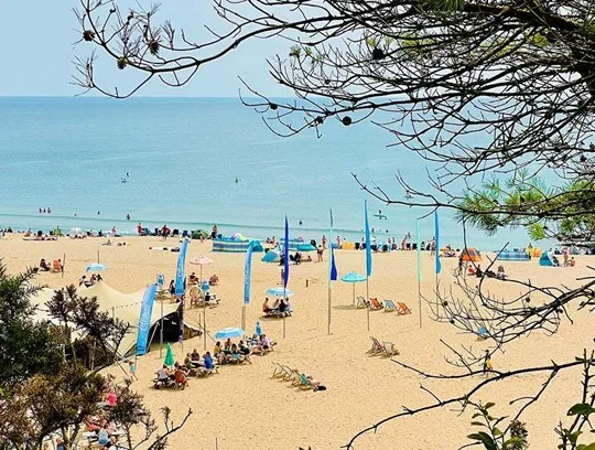 A beach with blue flags and people sitting.