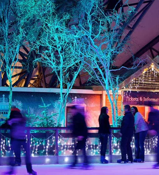 People ice skating at night.