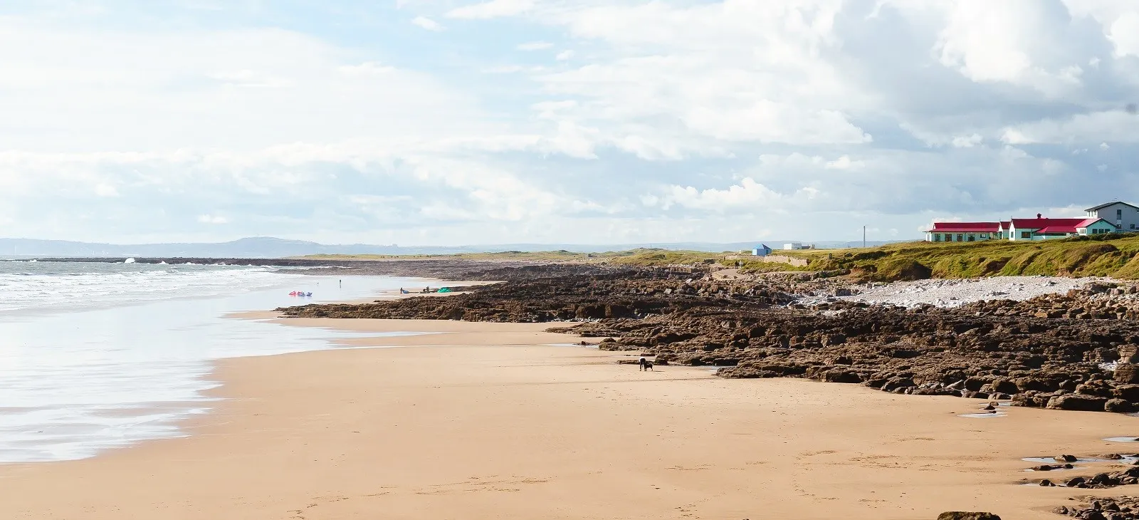 A beach with rocks being overlooked by green and red houses.