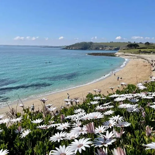 A beach with white flowers and blue water.