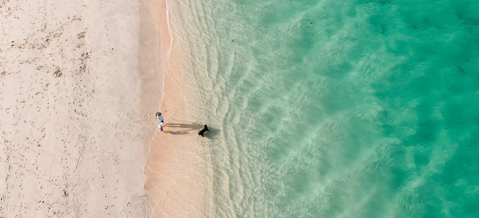 A woman and dog on a beach.